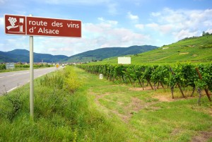 Rota do vinho, Alsace