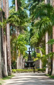 English fountain, palm alley. Botanical garden. Rio de Janeiro