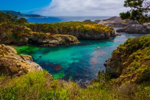 Point Lobos California State Reserve