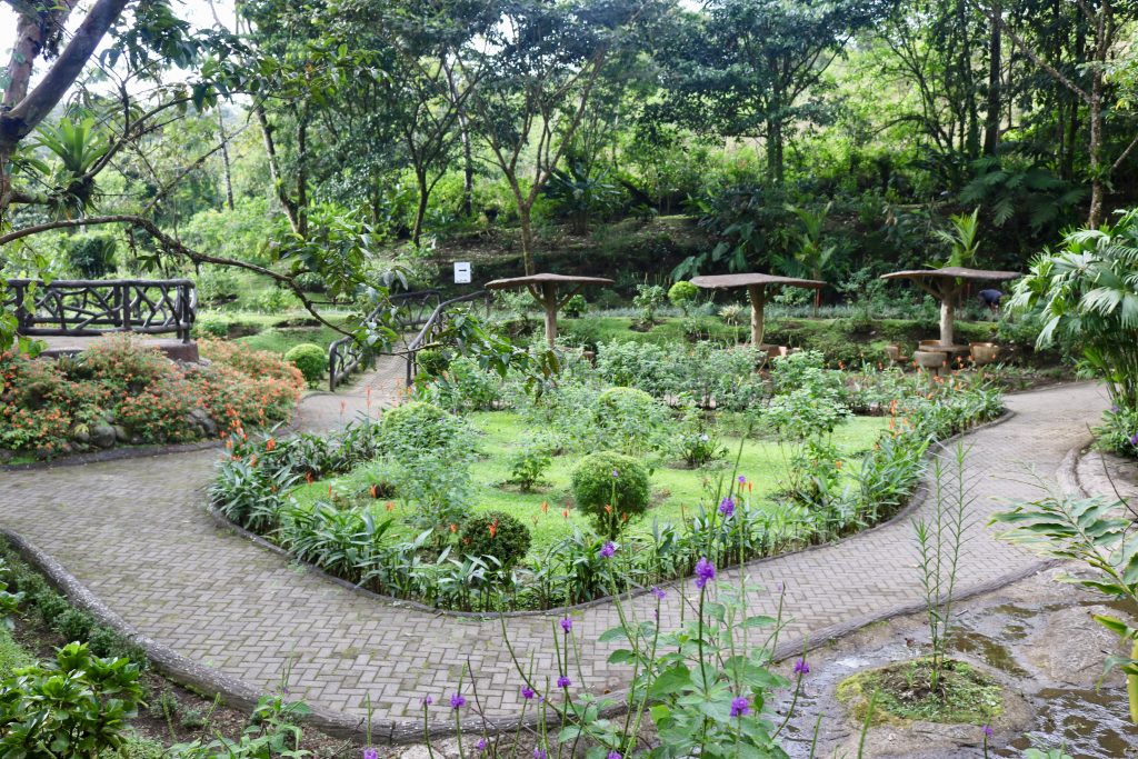 Rufous Garden, Costa Rica