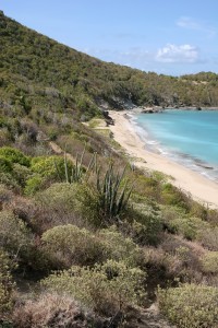 Praia Colombier, St. Barth, Caribe