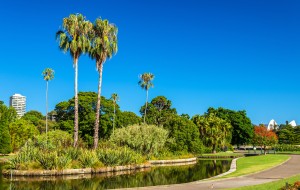 Jardim Botânico