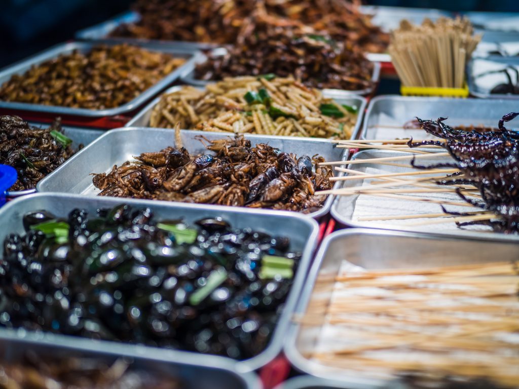 Insetos fritos na Khao San Road, Tailândia