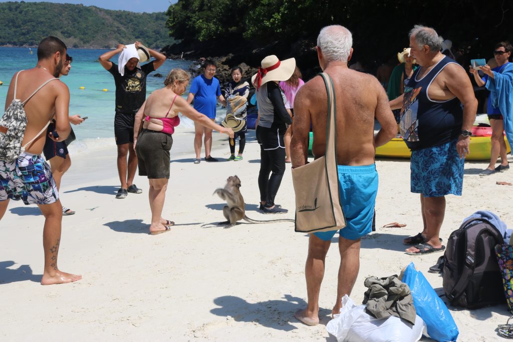 Monkey Beach, Phi Phi, Tailândia
